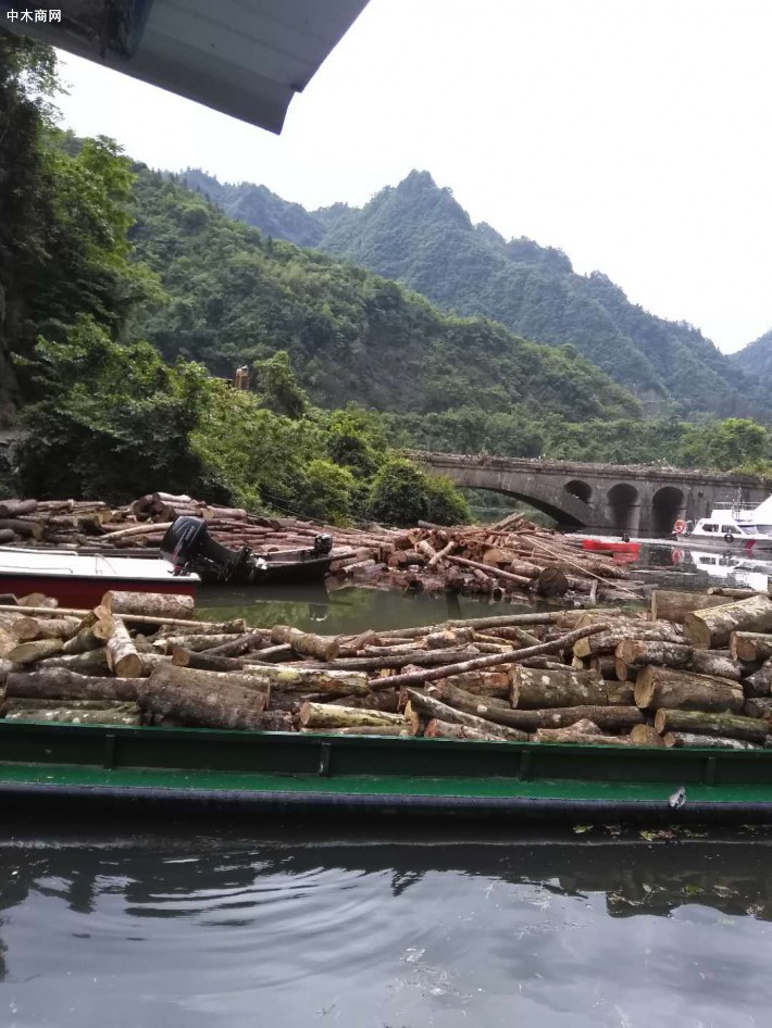 浙江上海等地木材商家通过停工等应对强台风来袭