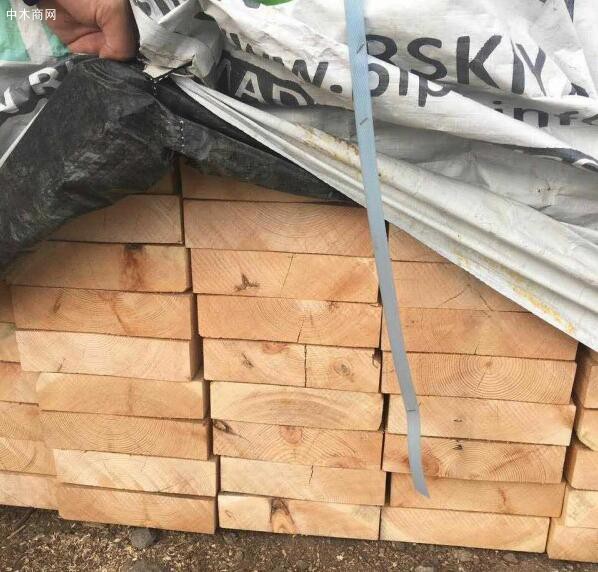 满洲里市公安局开展木材加工厂安全检查
