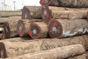 第三方法规影响加蓬木材交付