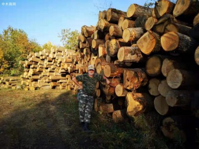 求购：俄罗斯橡木原木和板材图1