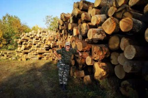 求购：俄罗斯橡木原木和板材
