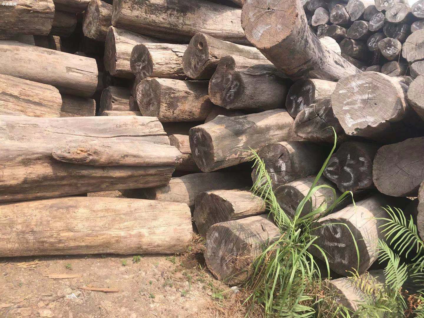 分析：东南亚国家木材市场未来形势