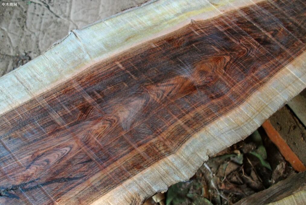 常见名贵木材学名俗称是什么品牌