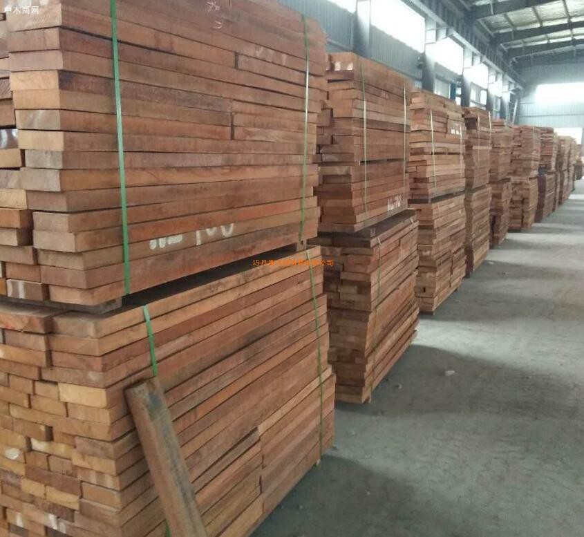 阿富汗临时政府将伐木和木材贸易定为非法