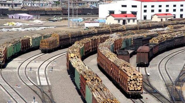 哈萨克斯坦禁止部分类型木材出口
