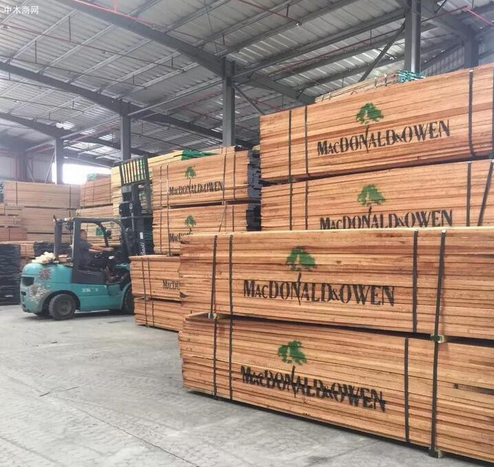 漳州全力推动木业产业高质量发展