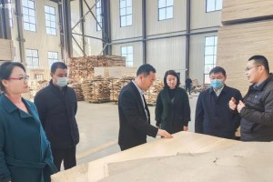 临沂市委统战部领导到义堂镇调研木业企业