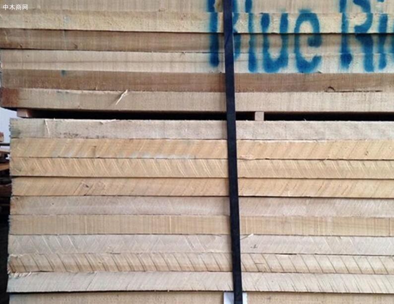 山东打响木材价格保卫战，两天直线上涨近100元