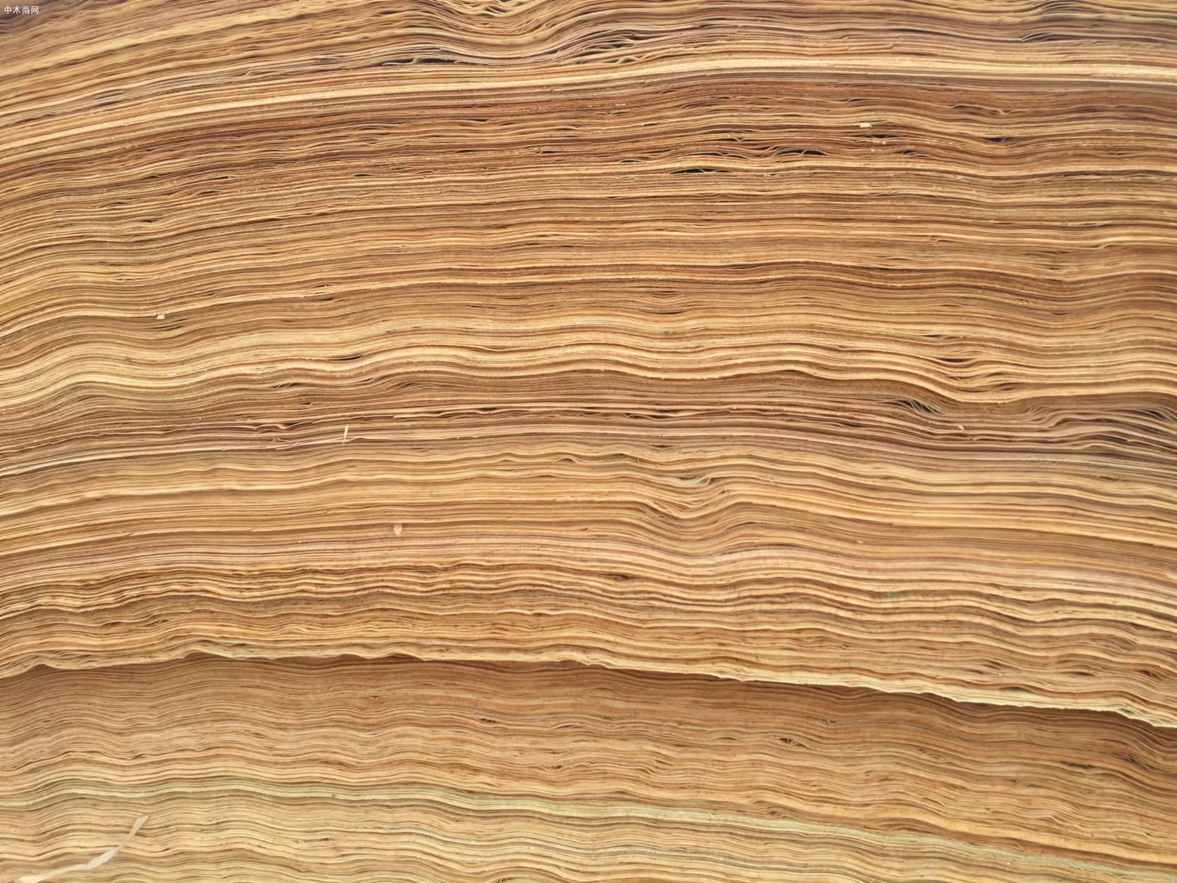 1.55厚三拼杨木板皮保张张质量好产品