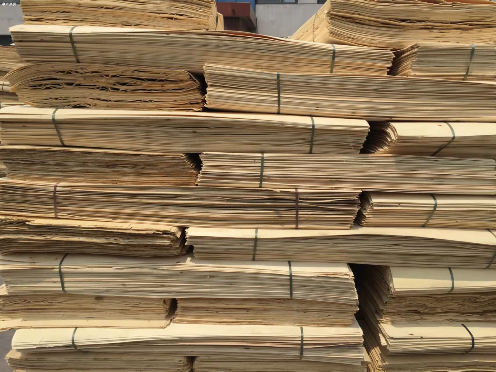 1.55厚三拼杨木板皮保张张质量好生产