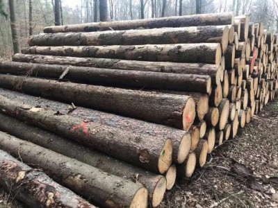 德国云杉原木期货图6
