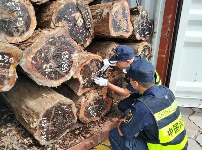 中山港海关助力中山木材产业做大做强