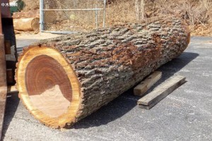 冬奥会即将举行环保管控增强，建议木材商家提前备货