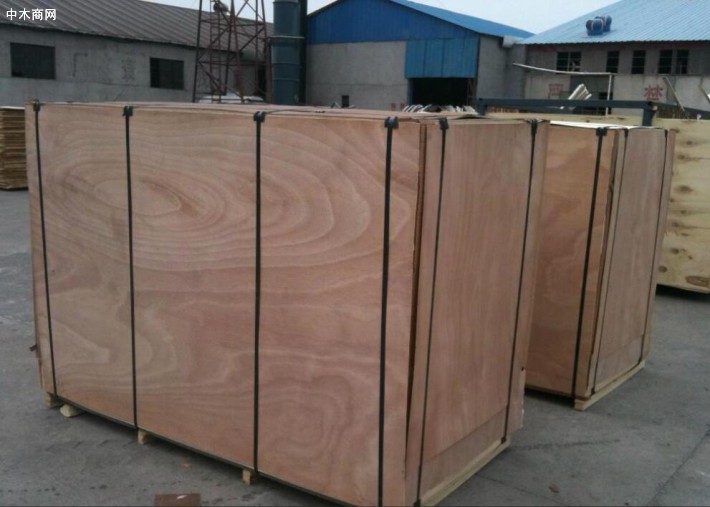 非洲木箱紧木材库存正在增加