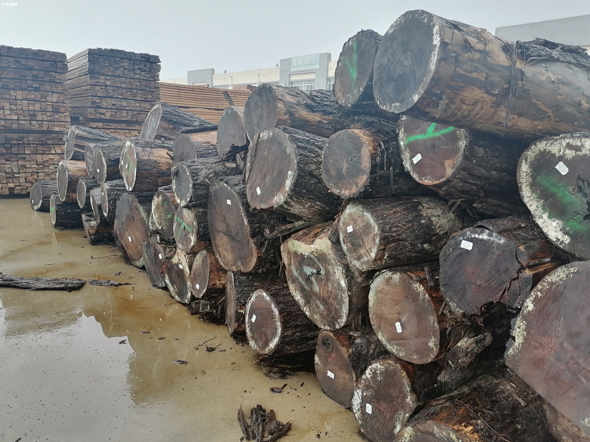 北美木材价格行情