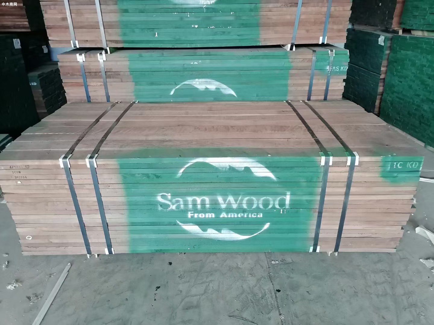 美国进口木材价格行情