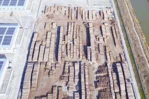 大丰港多措并举推动进口木材量稳步提升