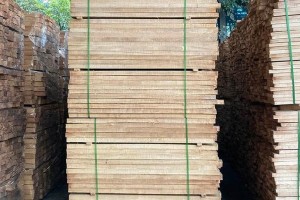 全球人工橡胶林每年可提供橡胶木约5000万立方米
