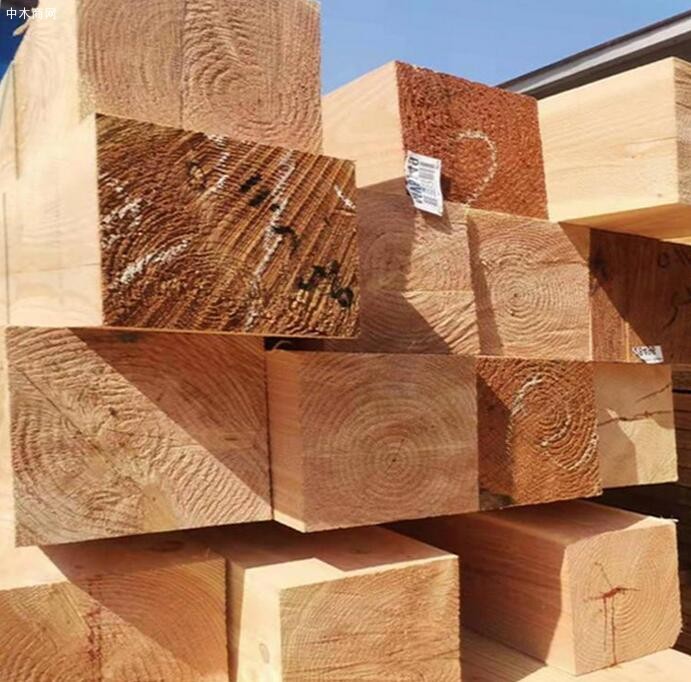 北美木材市场价格行情