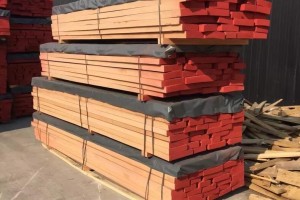 湖南常德河洑镇对木材市场进行消防安全检查