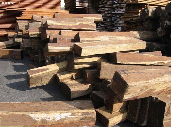 伯利兹黄檀的俗称是什么木材及伯利兹黄檀的木材性质