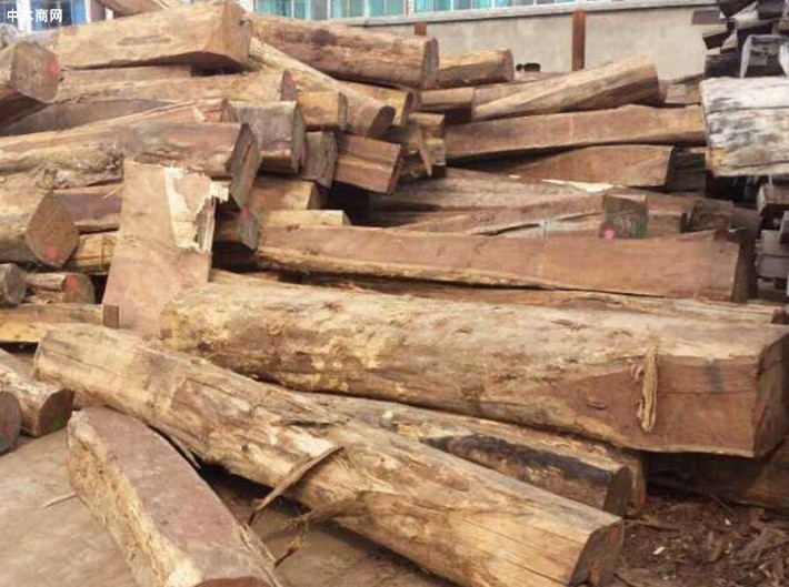 伯利兹黄檀的俗称是什么木材及伯利兹黄檀的木材性质图片