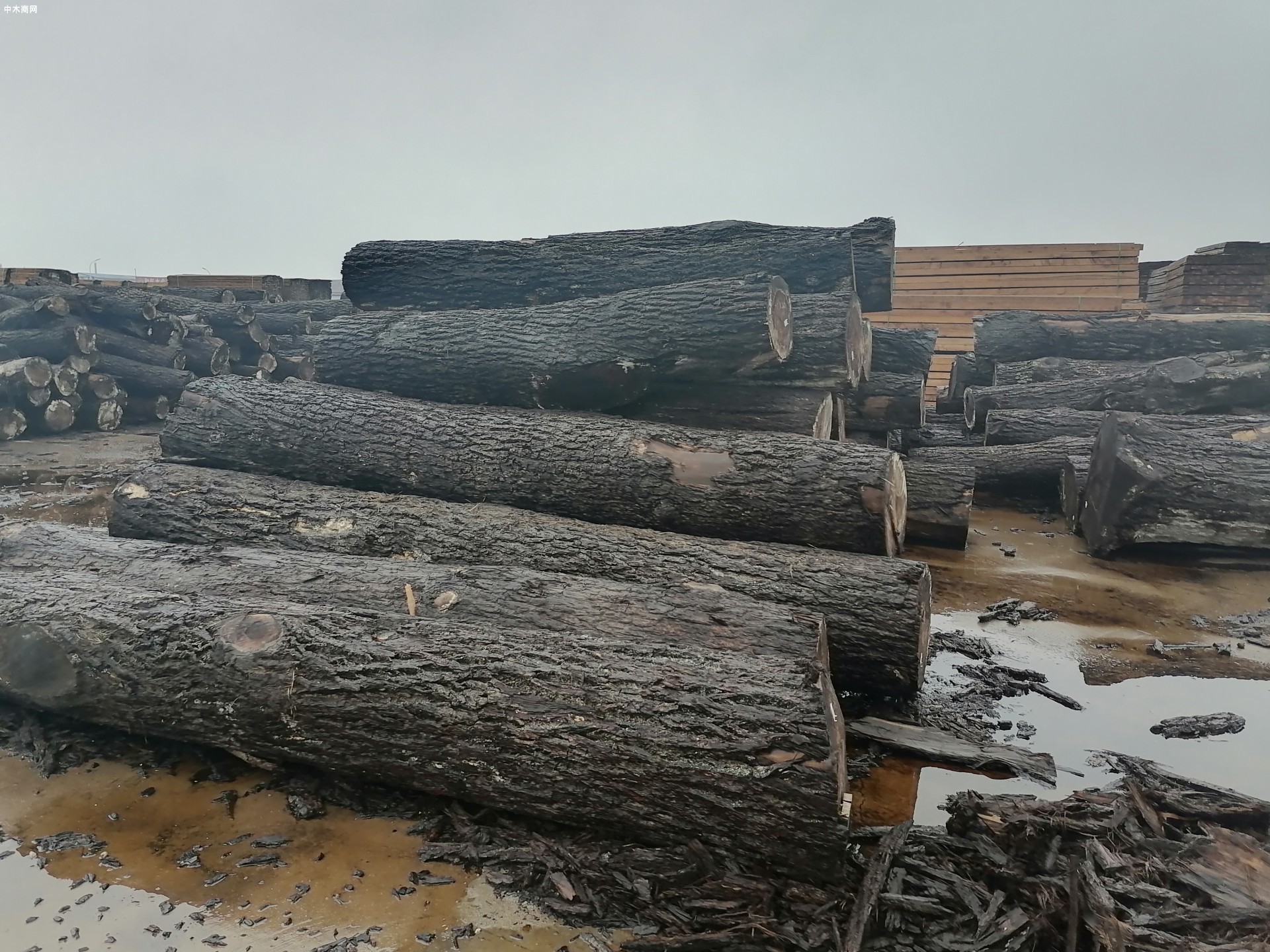 灌云临港产业区木材园物流堆场项目冒严寒抓进度