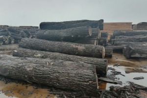 灌云临港产业区木材园物流堆场项目冒严寒抓进度