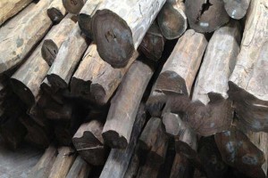 巴拉圭2021年木材出口额增长50%