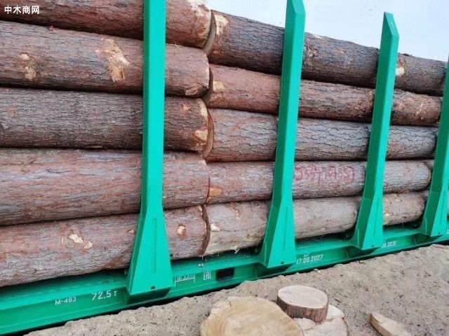 俄罗斯将制定措施支持远东木材加工投资项目