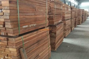 中国西部木材贸易港建设正在积极有序推进