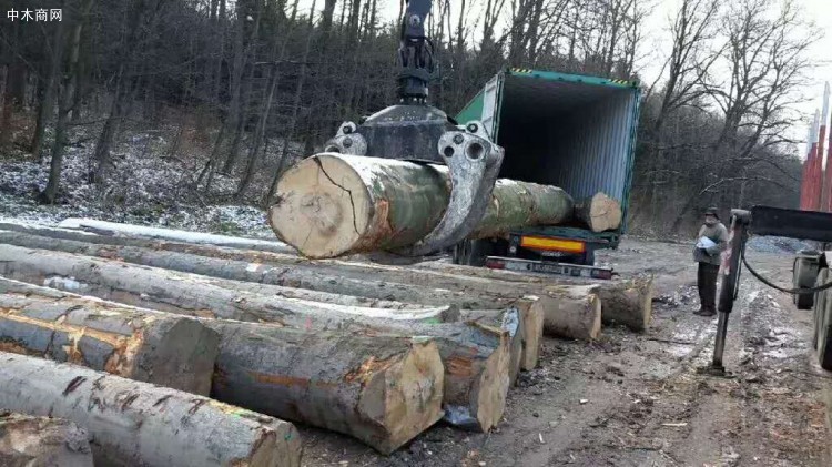 英国木材供应链承压