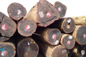 加蓬木材和木制品产量在过去的九年里翻了一番