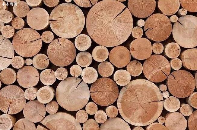 木材有什么特点品牌