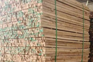印度橡胶木价格上涨125%