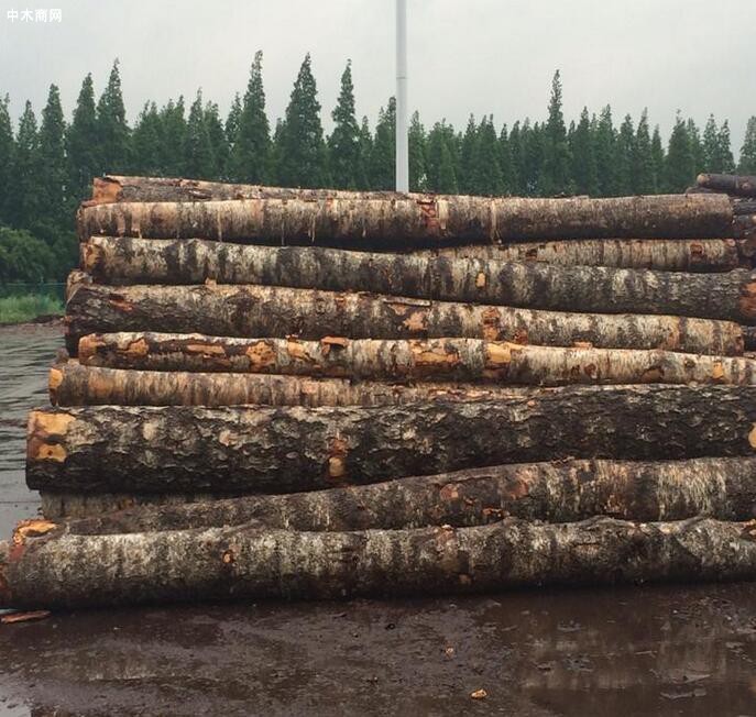 2021年俄西伯利亚联邦区对华加工木材出口量减少