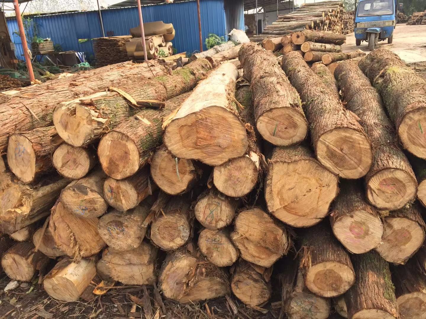 木材价格未来走势仍旧存在变数