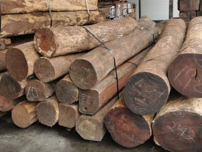 墨西哥白酸枝价优图3