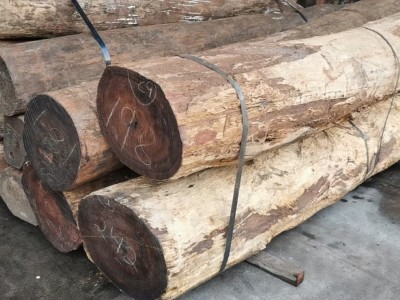 墨西哥白酸枝价优图4