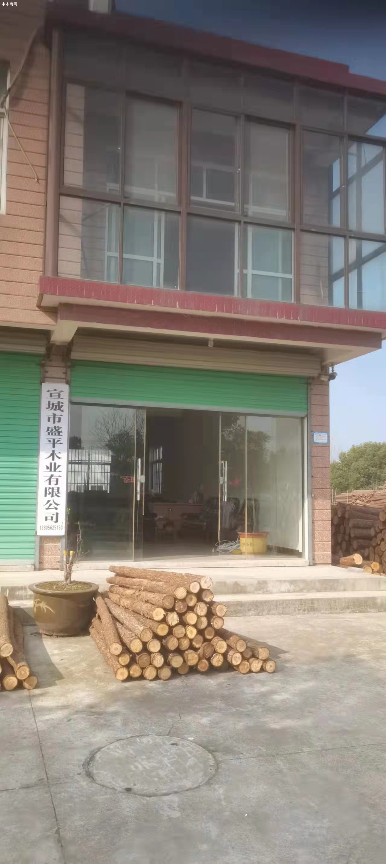 上海驳岸杉木桩报价品牌