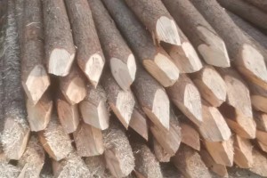 上海盛平杉木桩一般使用多少年及杉木桩防腐方法?