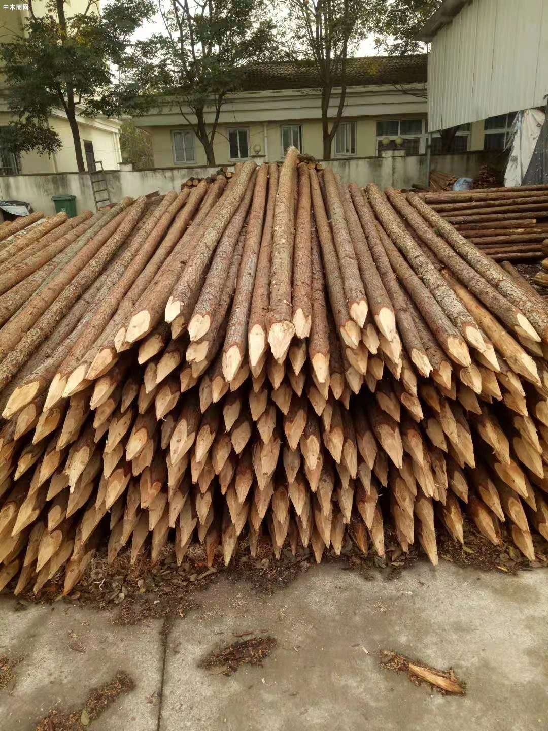 上海盛平杉木桩一般使用多少年及杉木桩防腐方法价格