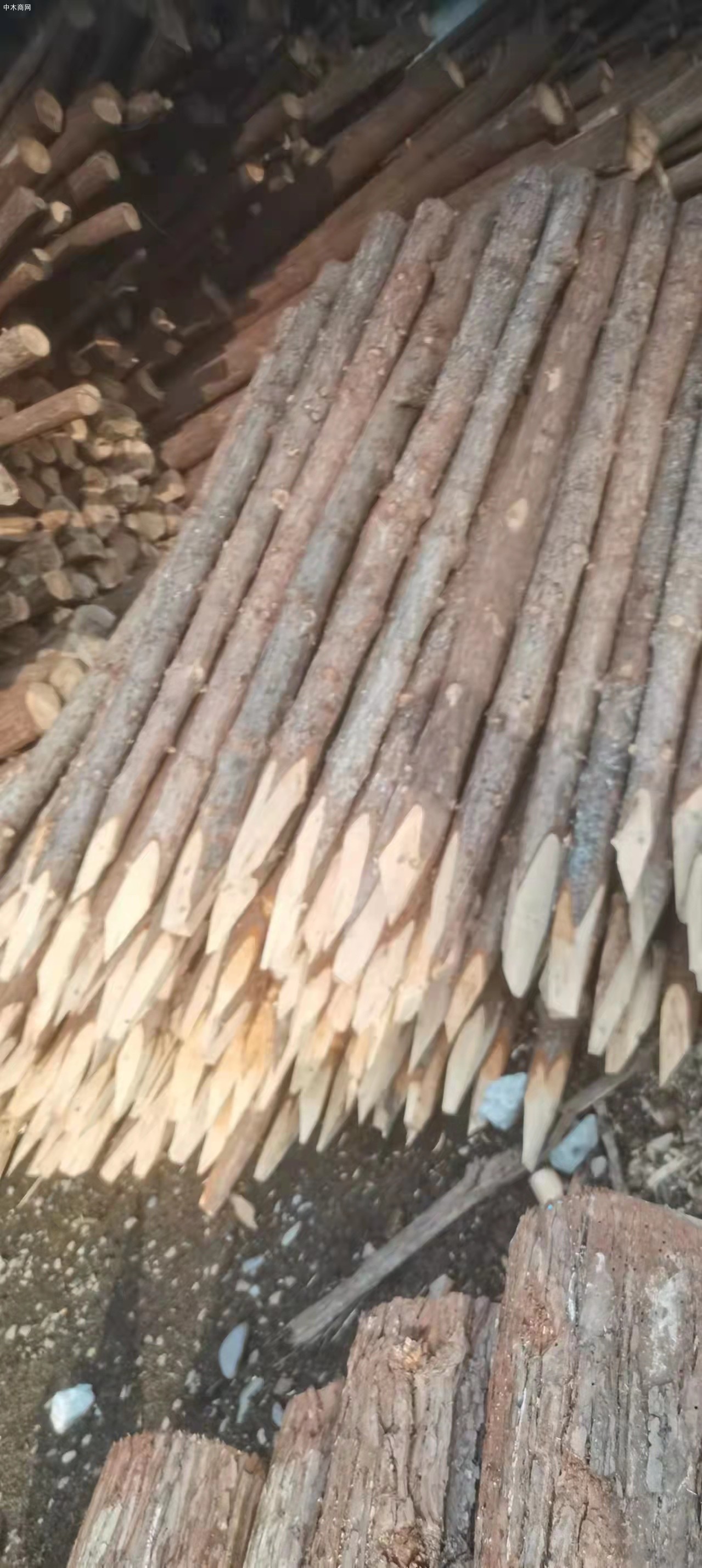 上海盛平杉木桩一般使用多少年及杉木桩防腐方法品牌