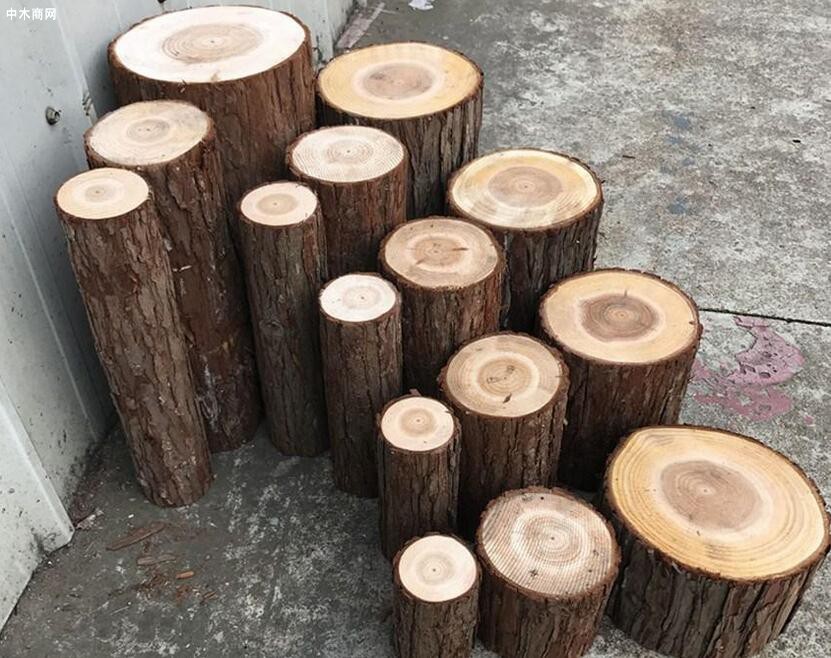 杉木桩规格怎么量及杉木桩如何防腐价格
