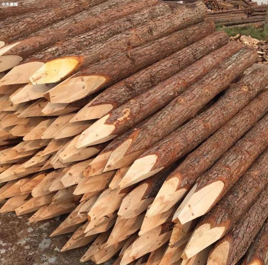杉木桩规格怎么量及杉木桩如何防腐厂家