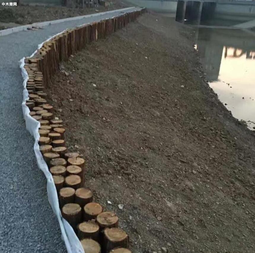 杉木桩规格怎么量及杉木桩如何防腐供应