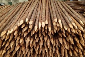 杉木桩规格怎么量及杉木桩如何防腐?