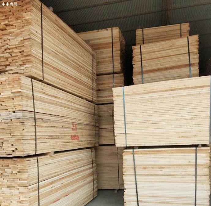 河南白杨木烘干板材工厂批发价格采购