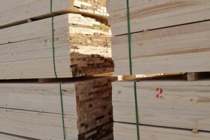 广西田林做大做强木材加工产业