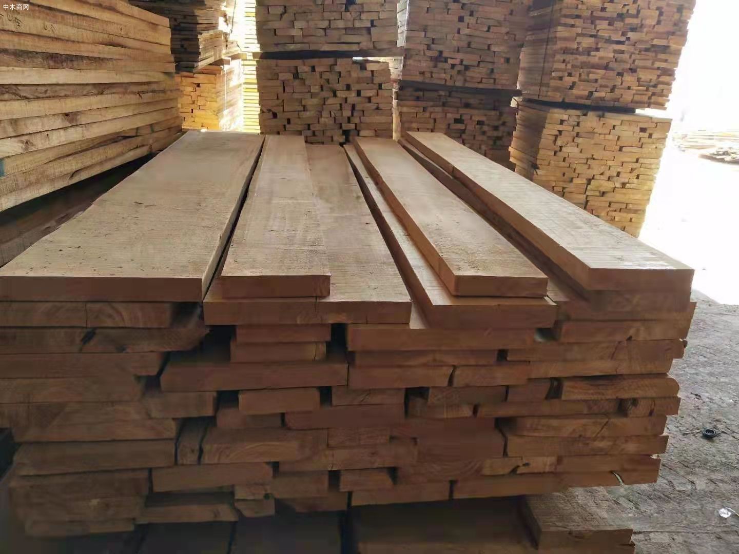 河南白杨木烘干板材生产厂家高清视频